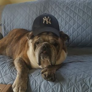 Meet your Posher, Deb